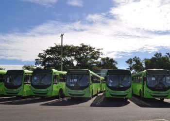 Omsa extiende horario de servicios tras flexibilización de libre tránsito y reactiva sus operaciones de fines de semana