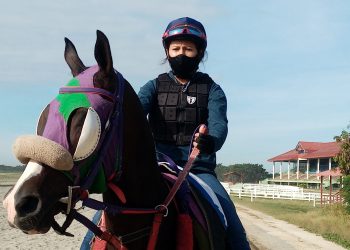 Jocketa peruana hará campaña en el V Centenario