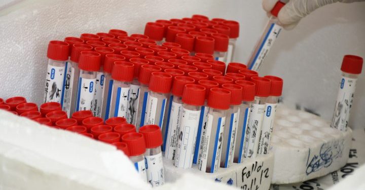 MSP reporta 523 casos nuevos y 5 defunciones notificadas en las últimas 24 horas