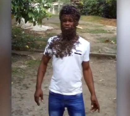 El hombre abeja: “Las abejas que me siguen son de las más agresivas”