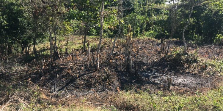 Invaden zona protegida donde nace el río La Sabita