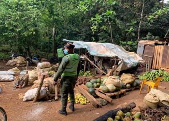 Medio Ambiente desaloja mercados improvisados en áreas protegidas de los Haiteses