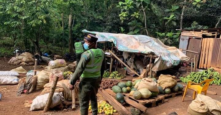 Medio Ambiente desaloja mercados improvisados en áreas protegidas de los Haiteses