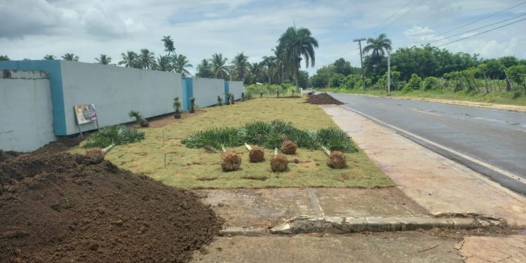 Manuel Pantalio continúa trabajó de embellecimiento y recuperación de espacios públicos