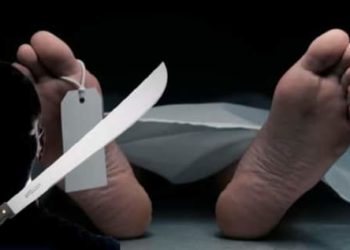 Dicen que por brujería hombre mató familia completa y hasta el gato, en Sierra Prieta