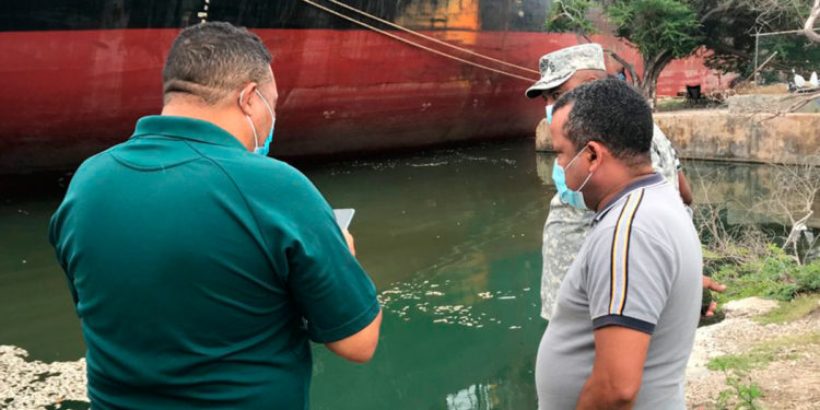 Procuraduría de Medio Ambiente profundiza en las investigaciones sobre aparición de especies marinas muertas en Barahona