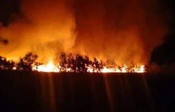 Incendio en área verde de Cap Cana