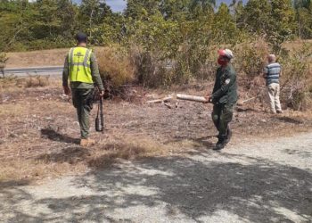 Medio ambiente desaloja invasores en zona protegida a orillas de la carretera del Nordeste