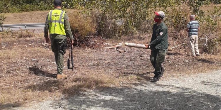 Medio ambiente desaloja invasores en zona protegida a orillas de la carretera del Nordeste