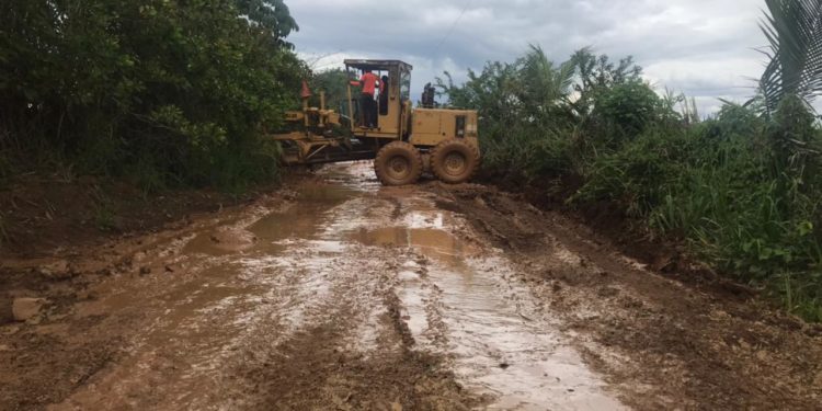 Parceleros aseguran han sido abandonados por el Gobierno en Don Juan, Monte Plata