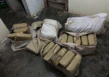 CESFronT decomisa 250 libras de presumible marihuana en Elías Piña