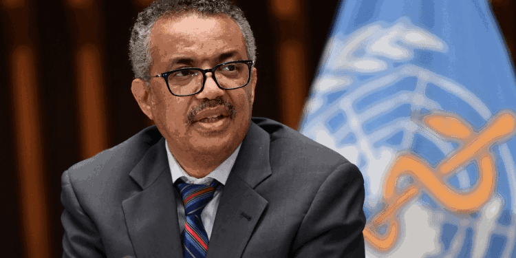 La OMS advierte que el aumento de casos de covid-19 en el mundo «es solo la punta del iceberg»