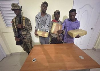 Apresan nacionales haitianos con dos caballos cargados de presunta marihuana en San Juan