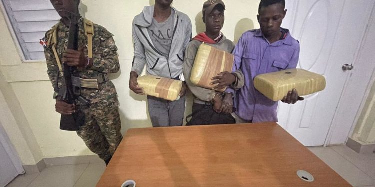 Apresan nacionales haitianos con dos caballos cargados de presunta marihuana en San Juan
