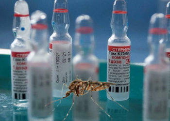 Retiran 765.000 vacunas de Moderna en España por presencia de un mosquito