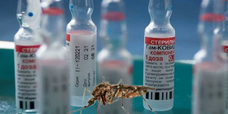 Retiran 765.000 vacunas de Moderna en España por presencia de un mosquito