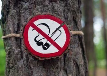 La OMS pide a los gobiernos que prohíban las actividades de ‘lavado verde’ por parte de la industria tabaquera