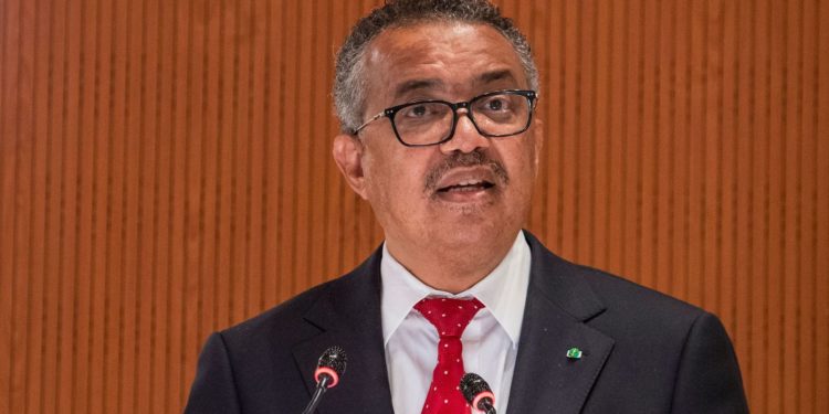 OMS decidirá si la viruela del mono amerita el nivel de alerta máxima