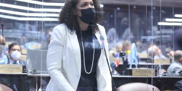 Juliana O´Neal afirma es inaceptable que se hable de privatizar el Hospital Padre Billini