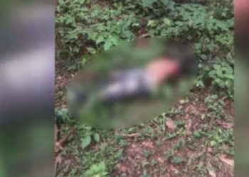 Encuentran hombre descuartizado en finca de San José de Ocoa