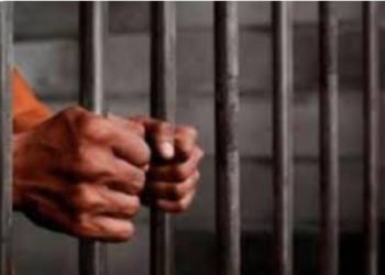 Policía captura tres hombres por homicidio de otro en finca de Cotuí