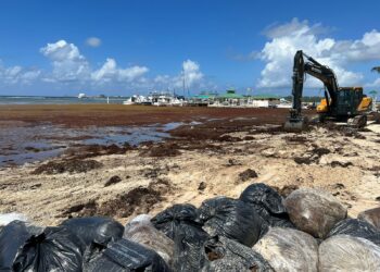 Zorrilla Ozuna pide declarar en estado de emergencia playa de Boca Chica por ocupación Sargazo