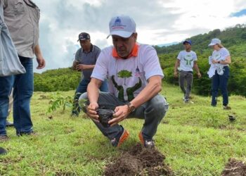 Ministerio de Agricultura siembra más de mil plantas en San Cristóbal