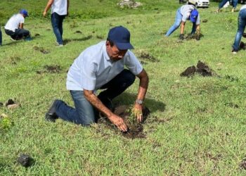 Alcalde José Montás  destaca Jornada Reforestación Gobierno con siembra de caoba, mara y teca