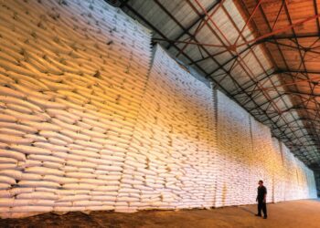 Informan llegan 20 mil toneladas de azúcar por el puerto de La Romana