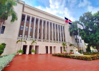 El Minerd afirma que asesores cumplen funciones específicas