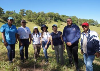 Voluntarios de Banco Popular siembran 4,300 árboles en Plan Sierra