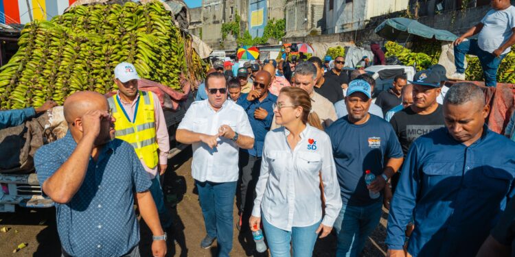Paliza y Mejía recorren mercados de la Duarte y Villas Agrícolas; planifican su readecuación