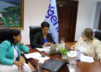 Presidenta de Consejo de EGEHID plantea los retos en materia de generación eléctrica por hidrobombeo