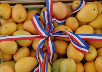 Baní ya es oficialmente la Capital del Mango: iniciativa del senador Julito Fulcar es aprobada
