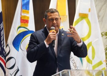 Presidente de Fedomu aclara solo los ayuntamientos pueden otorgar permisos de uso de suelo