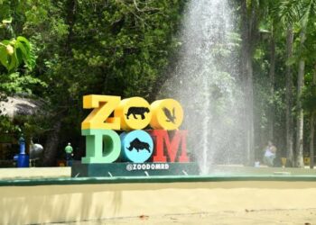 Zoológico Nacional desmiente importación de especies venenosas al país; especies solicitadas fueron caimanes, pericos y monos