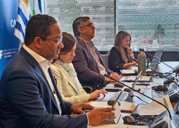 República Dominicana asumirá una vicepresidencia del Comité de Discapacidad de la OEA