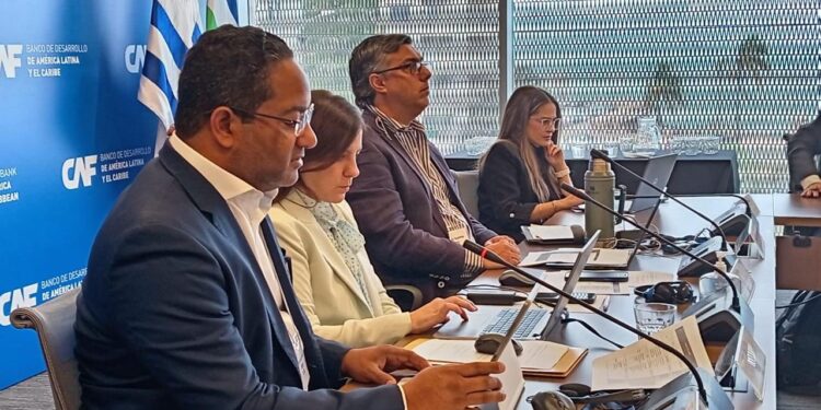 República Dominicana asumirá una vicepresidencia del Comité de Discapacidad de la OEA