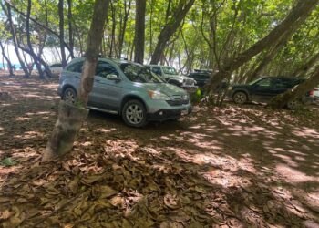 Escuelas de surf y negocios de Playa Encuentro piden intervención urgente para frenar entrada de vehículos a la franja costera