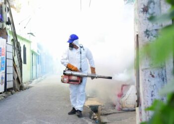 Salud Pública fumiga contra el dengue y exhorta a la población eliminar criaderos de mosquito