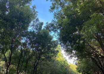 Miderec reabre Parque del Este y el Centro Olímpico JPD tras los juegos