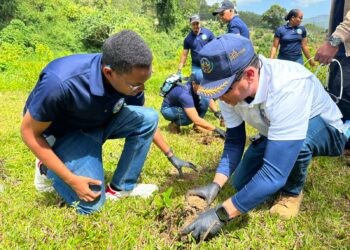 Ministerio de Defensa siembra esperanza y protege el agua mediante Jornada de Reforestación en Manabao