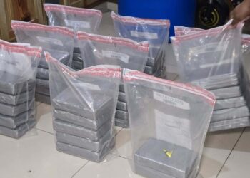 DNCD incauta 42 paquetes de presunta cocaína en puerto Caucedo con destino a Francia