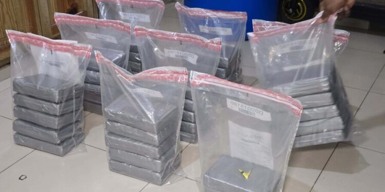DNCD incauta 42 paquetes de presunta cocaína en puerto Caucedo con destino a Francia