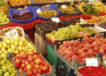 La sequía y las guerras disparan los precios de los alimentos en agosto, según la FAO