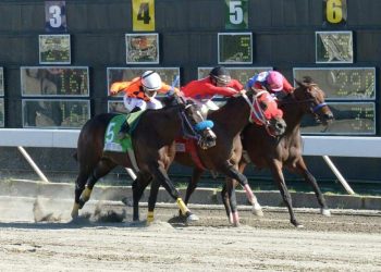 Comisión Hípica mueve carreras debido a disposición gubernamental; viernes Clásico Año Nuevo
