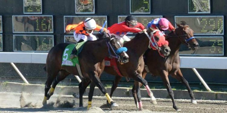 Comisión Hípica mueve carreras debido a disposición gubernamental; viernes Clásico Año Nuevo