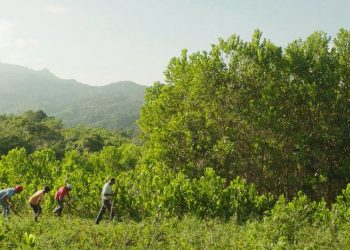 El FestCineRD realizará tercera edición virtual desde el 15 enero