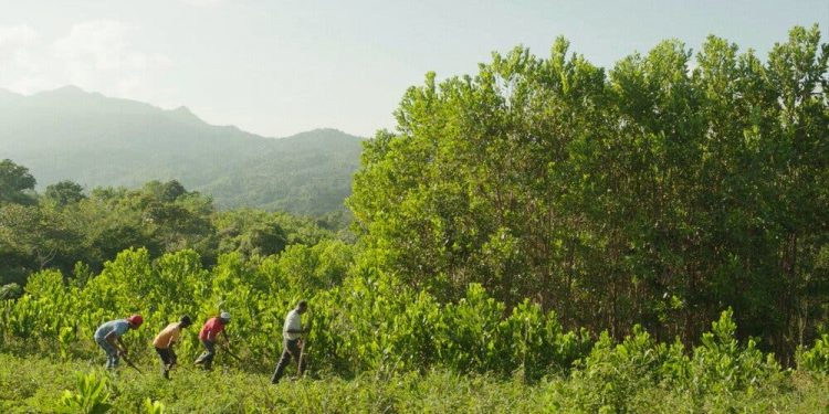 El FestCineRD realizará tercera edición virtual desde el 15 enero