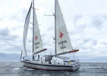 Grupo Rizek y Grain de Sail exportarán cacao dominicano a Francia